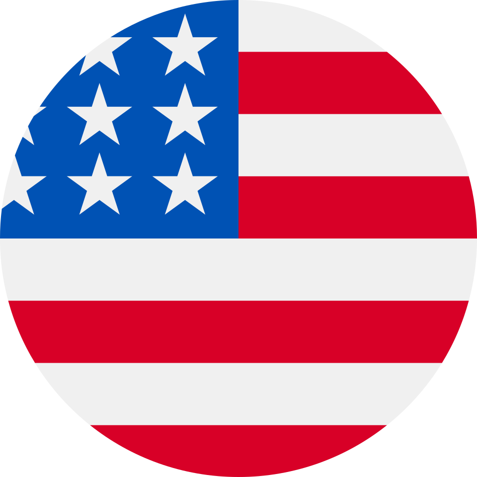 Binge IPTV Logo United States Flag